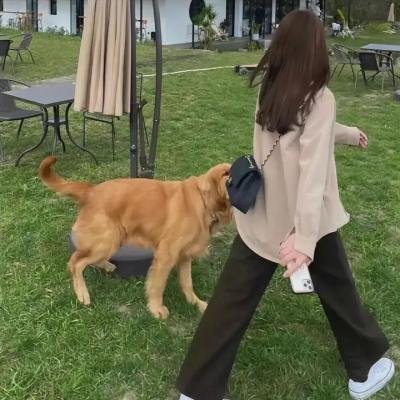 天才失败者 海报