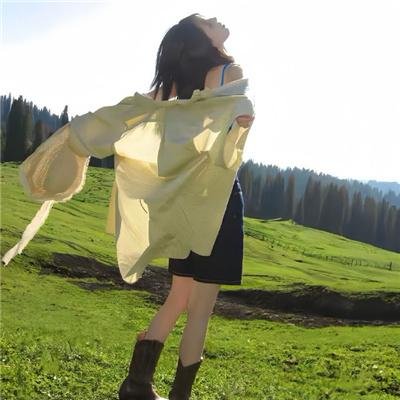 银坛莺燕 海报
